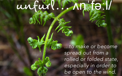 Unfurl…